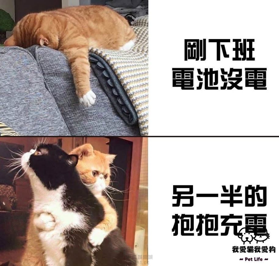 S__419110923_0.jpg