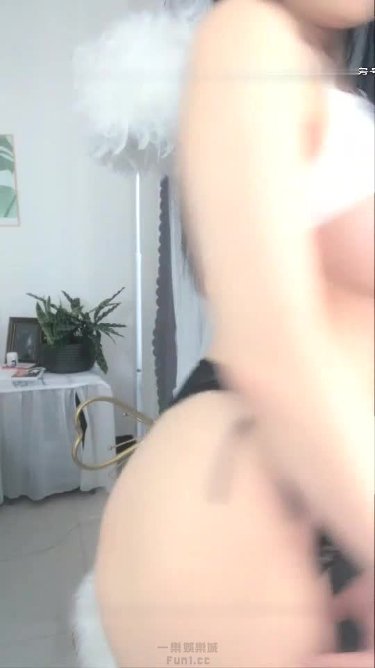 40907.jpg