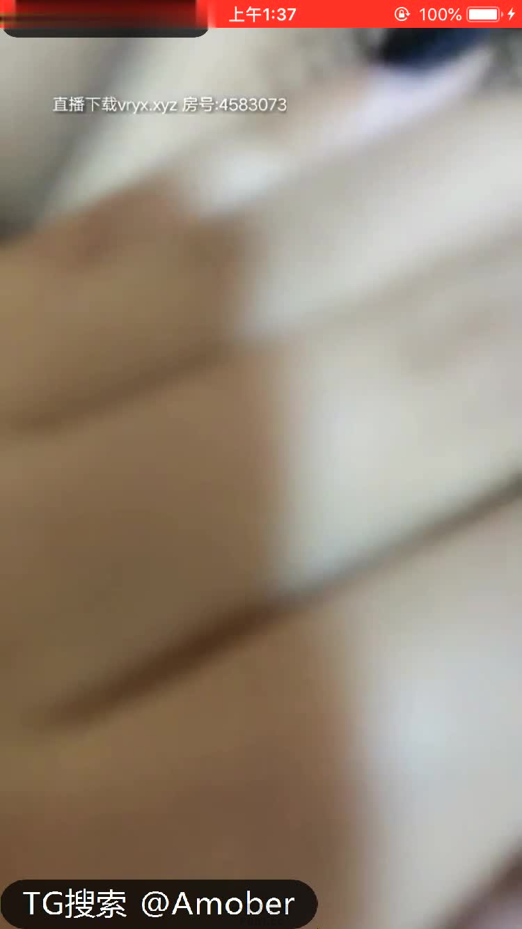 40950.jpg