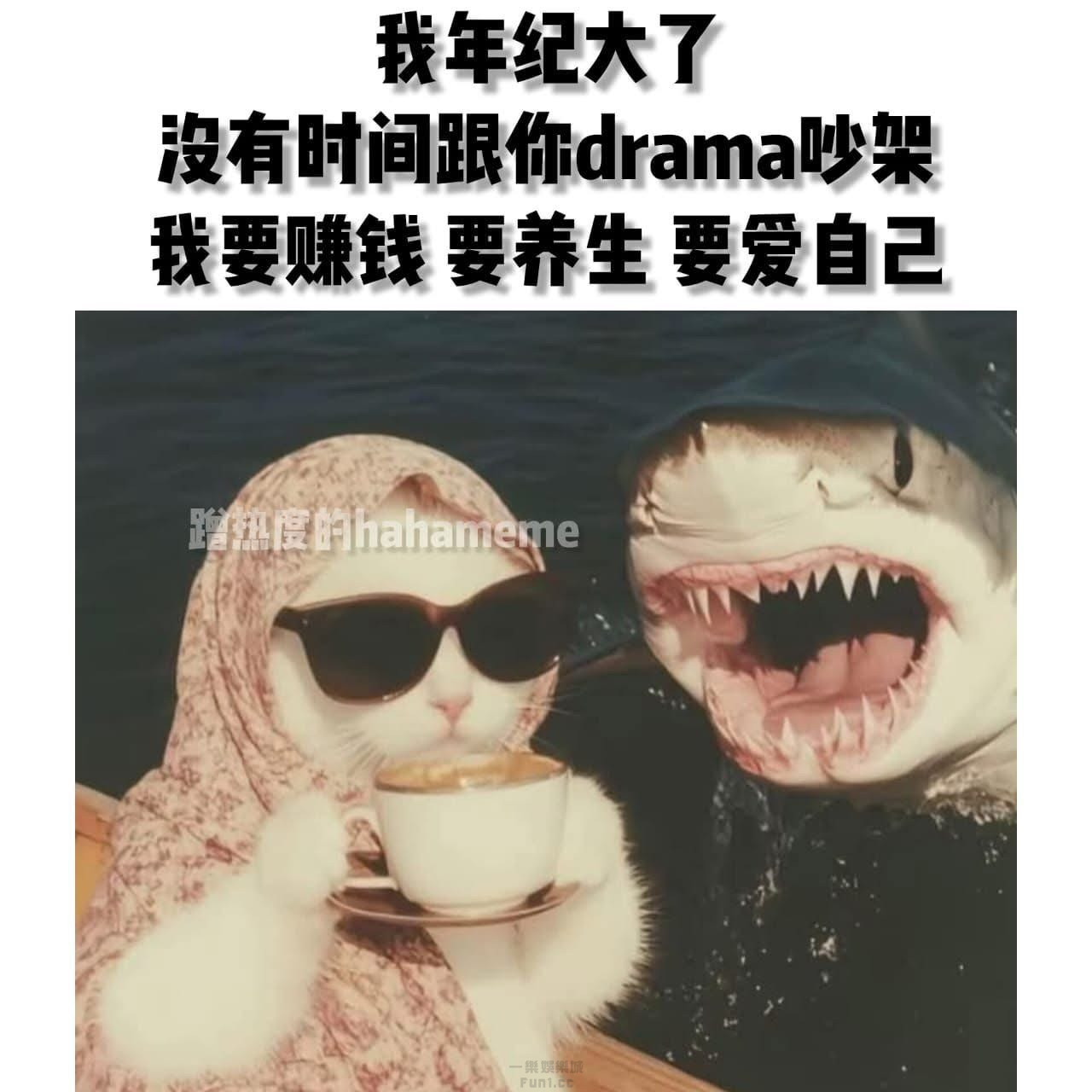 S__422912111_0.jpg