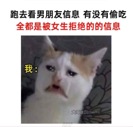 真相是如此