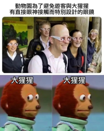 不可直視