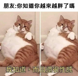 胖就是性感