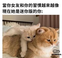 愛的物以類聚