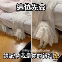 娶我