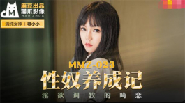 MMZ-023 性奴养成记-寻小小