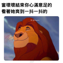 黑皮