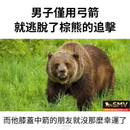 對不起了!兄弟