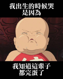 完蛋了