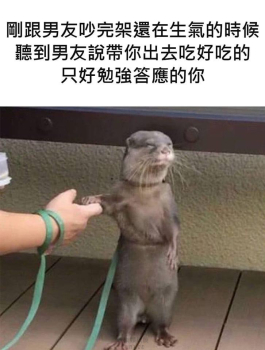 吃完氣就消了