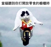 極速傳說