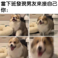 興奮到模糊