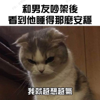 氣死我了
