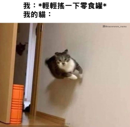 我來啦