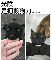 你怎麼了怎麼了