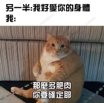 肉多多