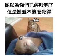 未完待續