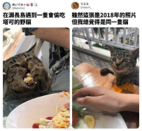 長大了