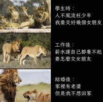 階段性不同