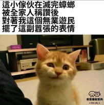 很邱