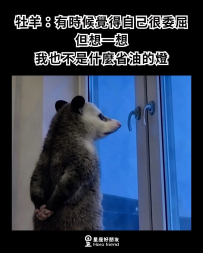 當我塑膠啊