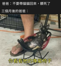 寶貝啊