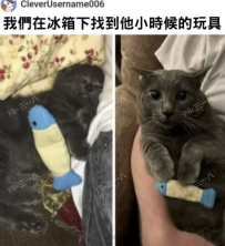 尋獲童年回憶