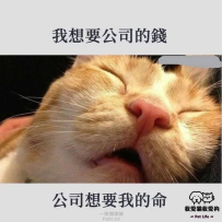 要命不要錢