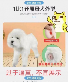 安全  健康 環保 母犬