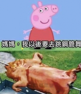 小朱珮奇!志向明確!