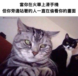 看甚麼看啦?