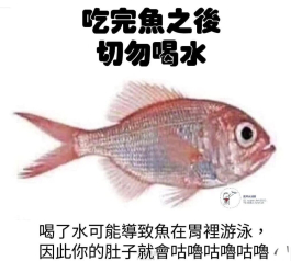 魚兒魚兒水中游