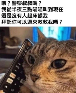 過來救救我啊