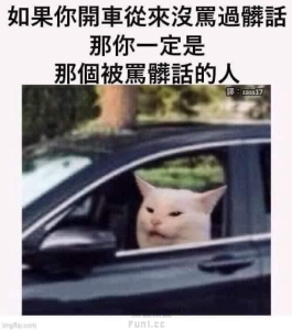 就是你