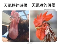 縮起來