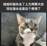 怎麼啦