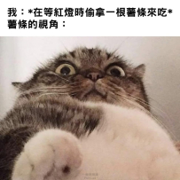 不要啊