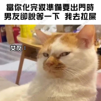 哪來那麼多屎