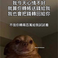 轉給我