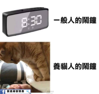來了