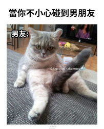 IN啦