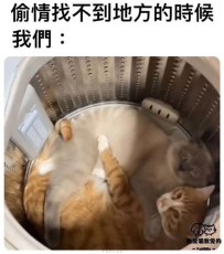 安全